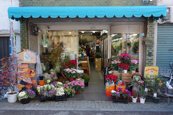 Taishogun shopping street Sakurai flower shop