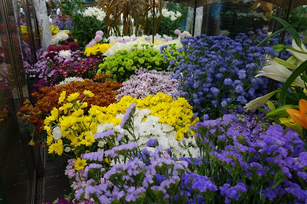 Taishogun shopping street Sakurai flower shop