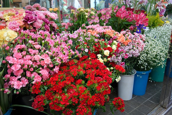 Taishogun shopping street Sakurai flower shop