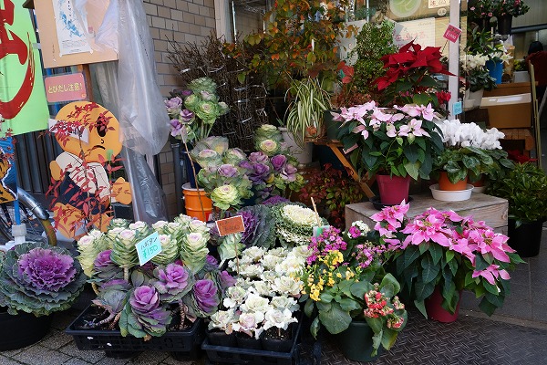 Taishogun shopping street Sakurai flower shop